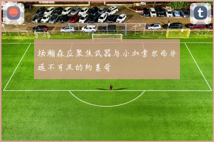 杨瀚森应聚焦武器与小加索尔而非遥不可及的约基奇