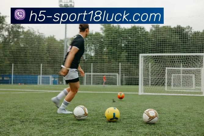 18新利体育平台生态图